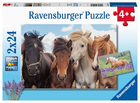 Ravensburger 051489 Fotky kon 2x24 dlk