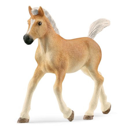 Schleich 13951 Haflingersk hb