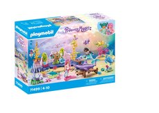 Playmobil 71499 Pe o podmosk ivoichy