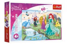 Trefl Puzzle Poznejte princezny 33x22cm 60 dlk